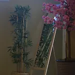 住宿加早餐酒店 Zelle Airport Arnavutkoy